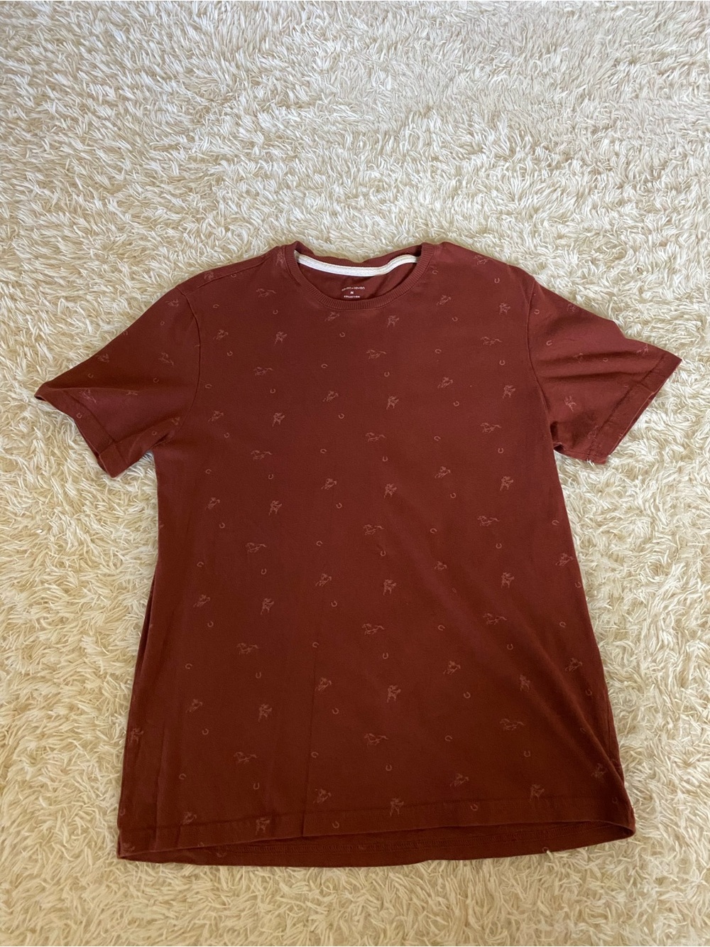 Casual Crewneck T-Shirt in Rust